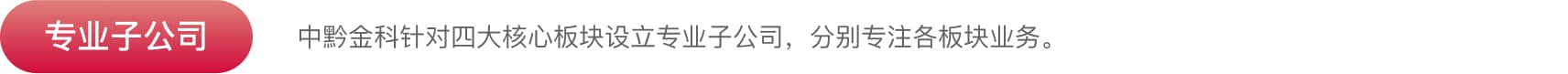 子公司介绍